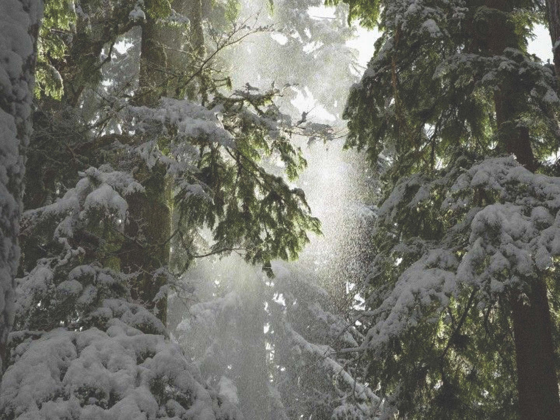 Winter Wellness Habits for the Practicing Esthetician