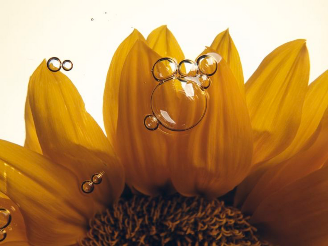 Depth + Repair: Why October Is the Ideal Month for Transformative Skincare