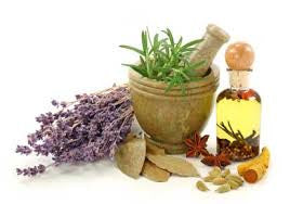 Understanding Ingredients in Herbal Skin Solutions Cosmeceuticals - Product Knowledge Training